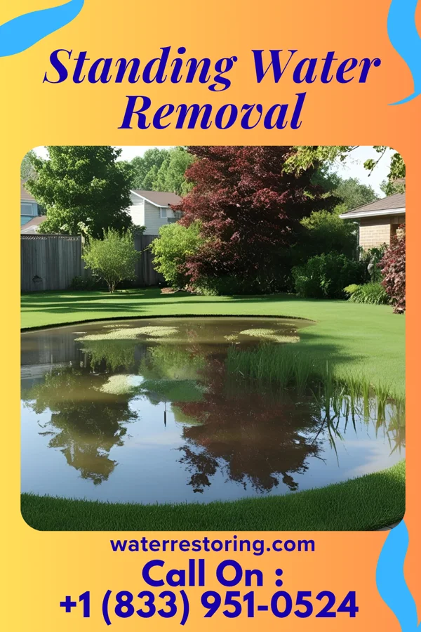 Standing Water Removal in Carolina Shores, NC